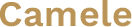 Corso di toelettatura